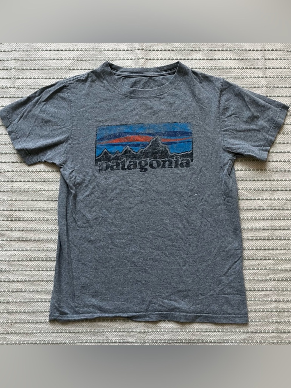 Vintage y2k Patagonia logo baby tee